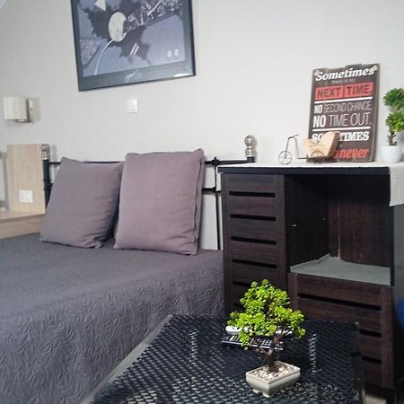 Roses Apartments Michaniona Dış mekan fotoğraf