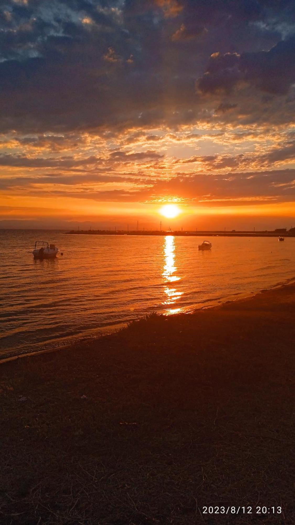 Roses Apartments Michaniona Dış mekan fotoğraf