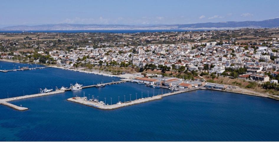 Roses Apartments Michaniona Dış mekan fotoğraf